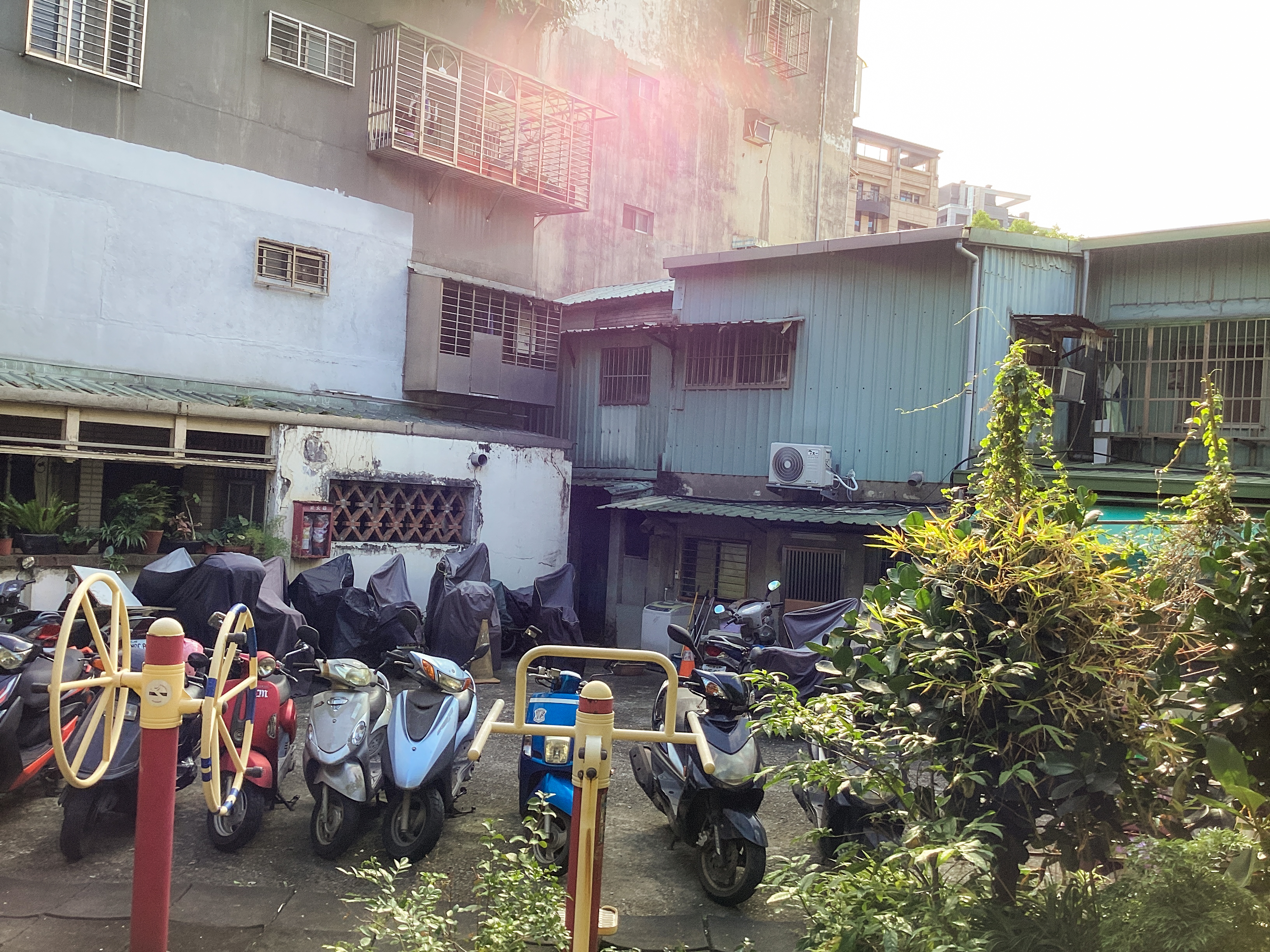 （攝影／陳楷杰）