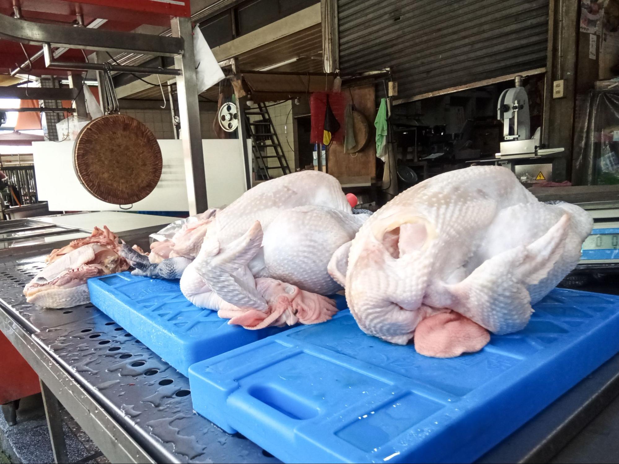 （攝影／曹語宸）