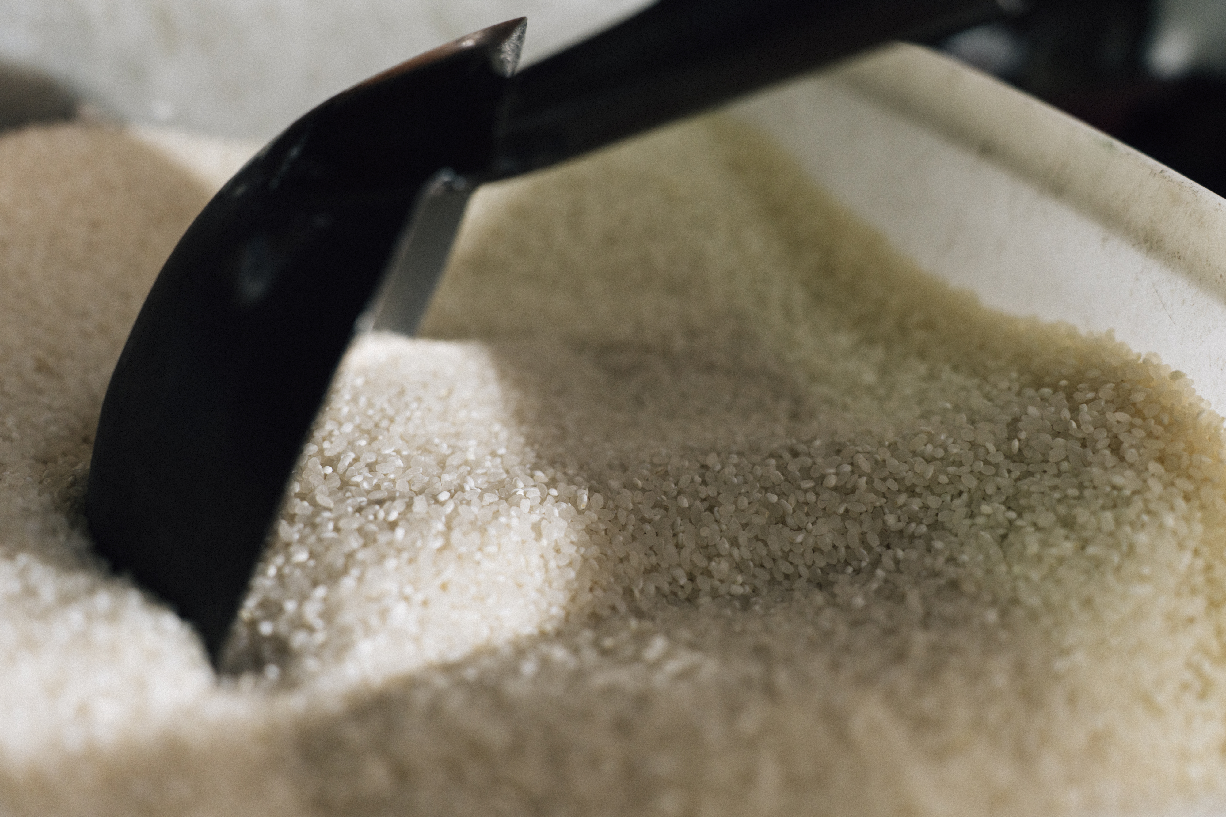 （攝影／金妤芯）