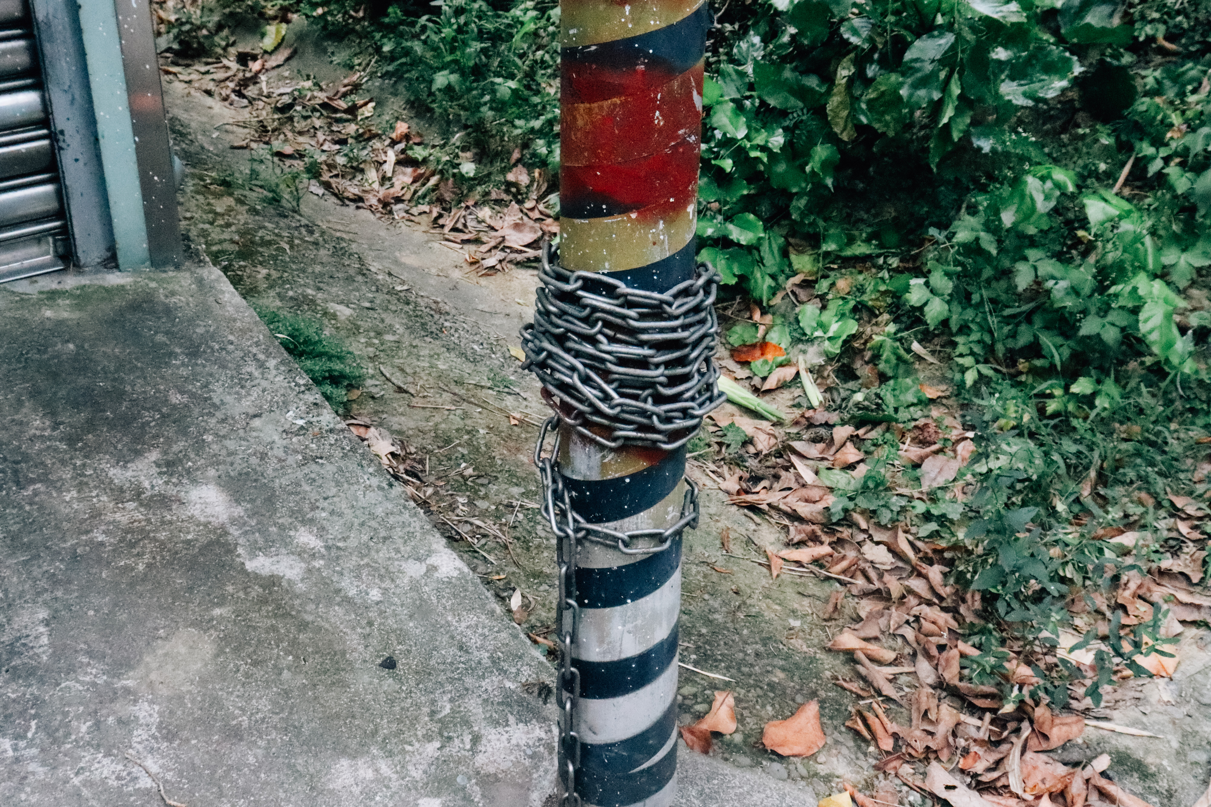 （攝影／邱恬沁）