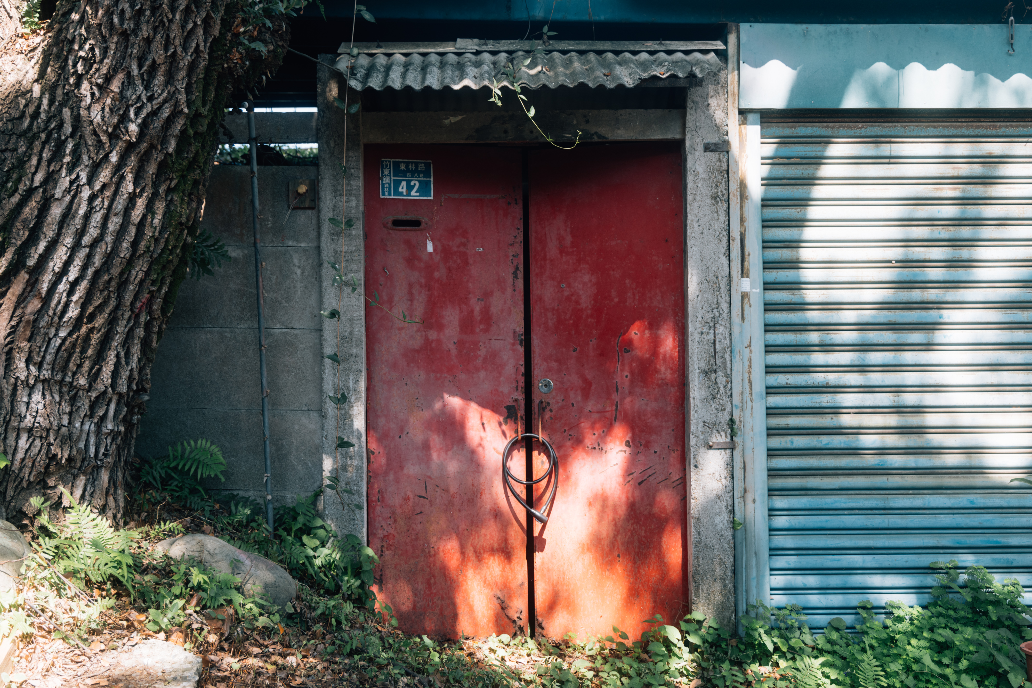 （攝影／溫翔宇）