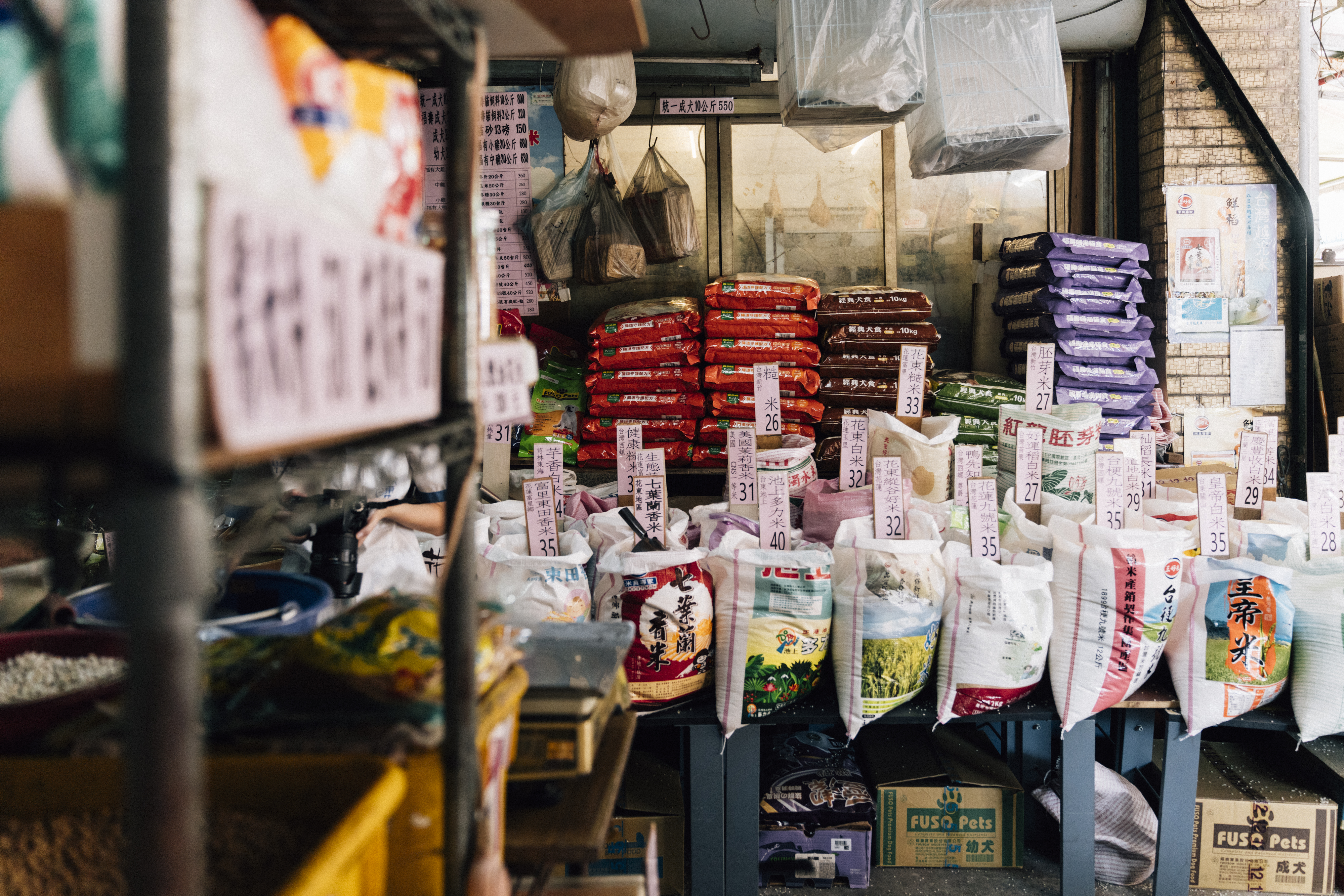 （攝影／金妤芯）