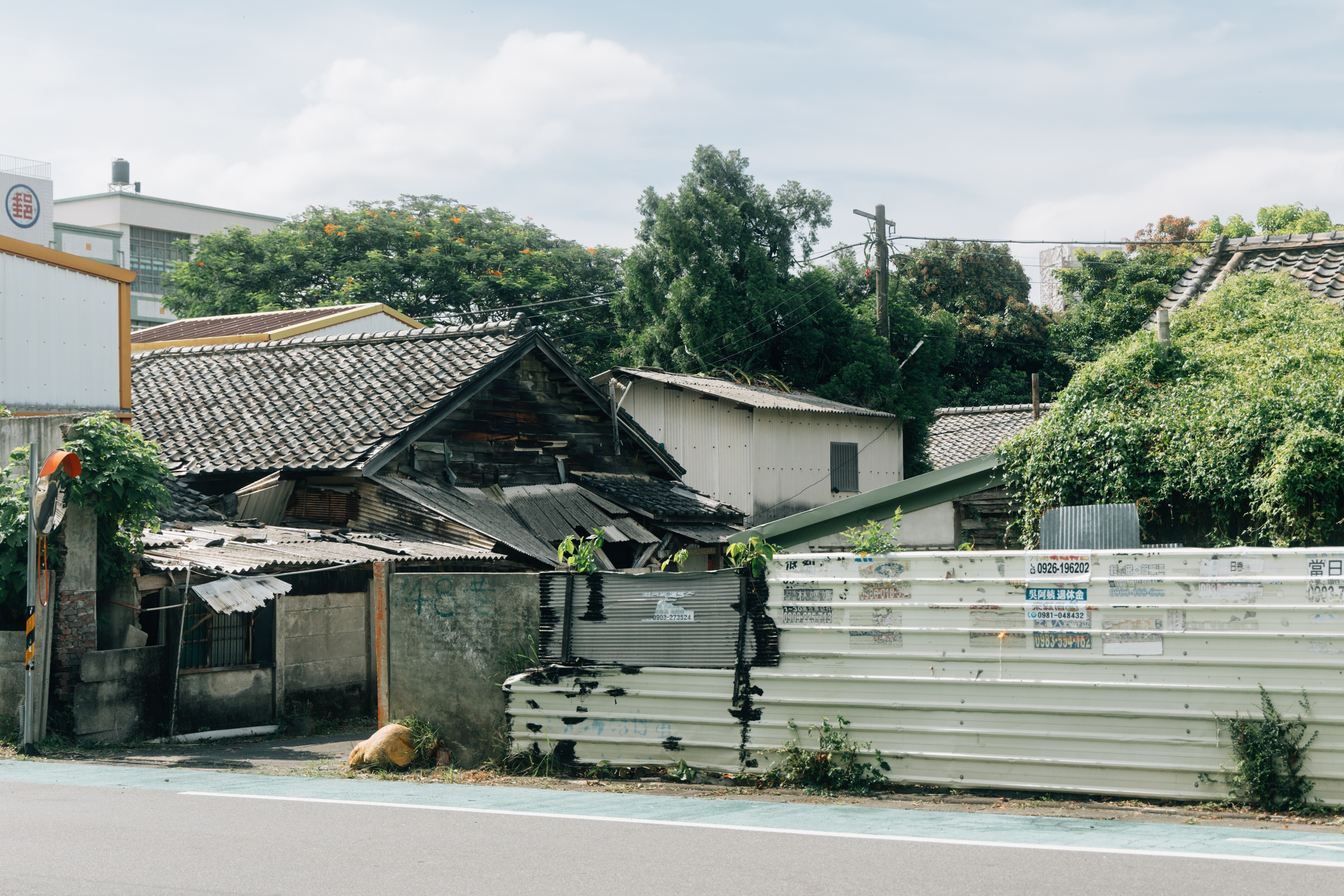 （攝影／溫翔宇）
