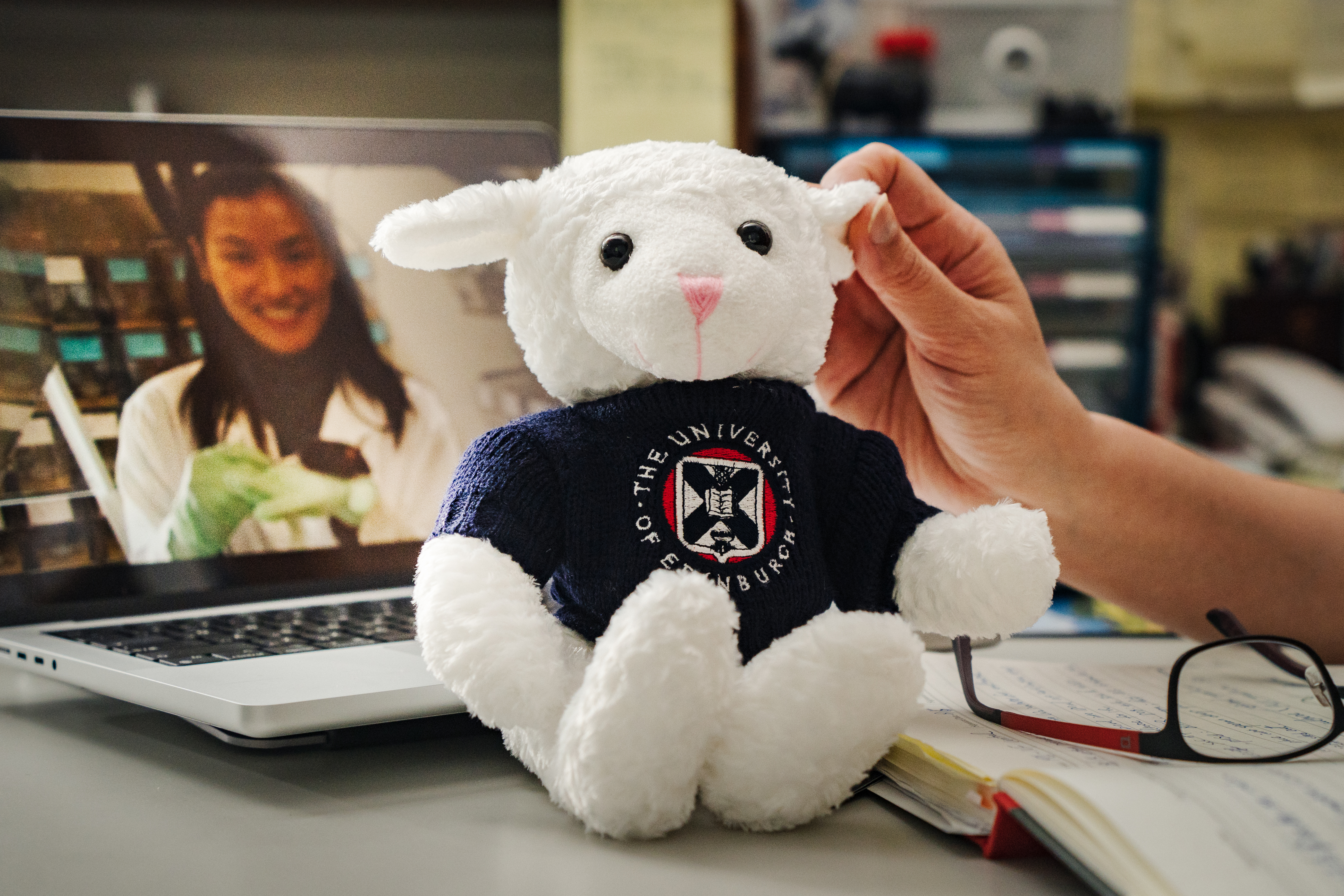 圖為宋麗英做出的複製鼠，研究室裡則擺著學生送她的桃莉羊娃娃。（攝影／王崴漢）