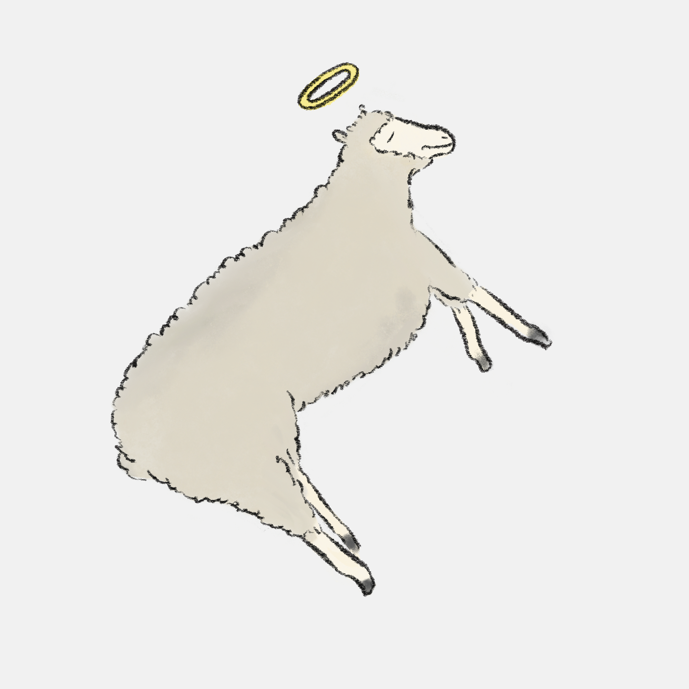 圖解新聞】紅毛猩猩可秀的故事：多能幹細胞如何幫極度瀕危動物留存生機？ - 少年報導者The Reporter for Kids