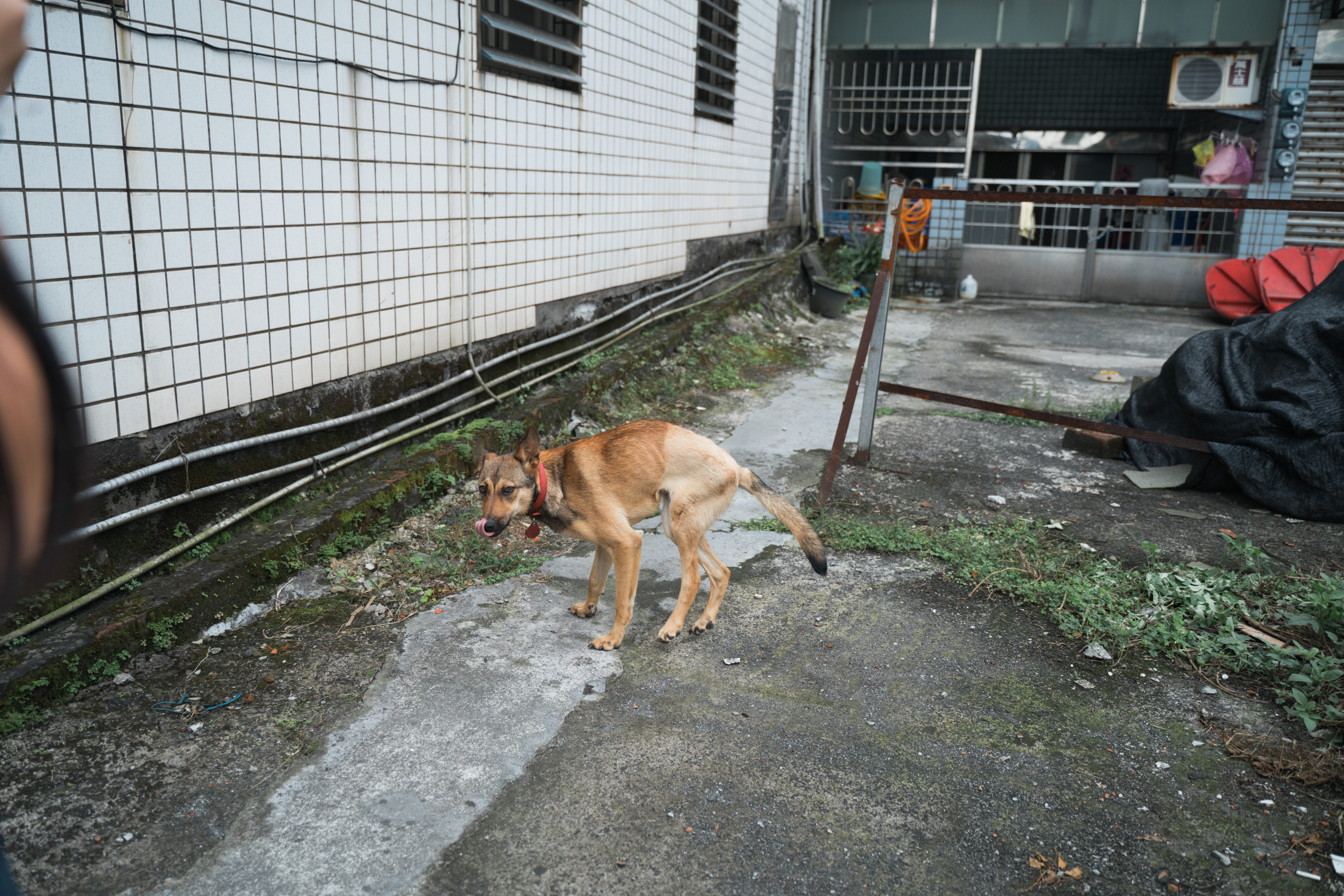 （攝影／唐佐欣）