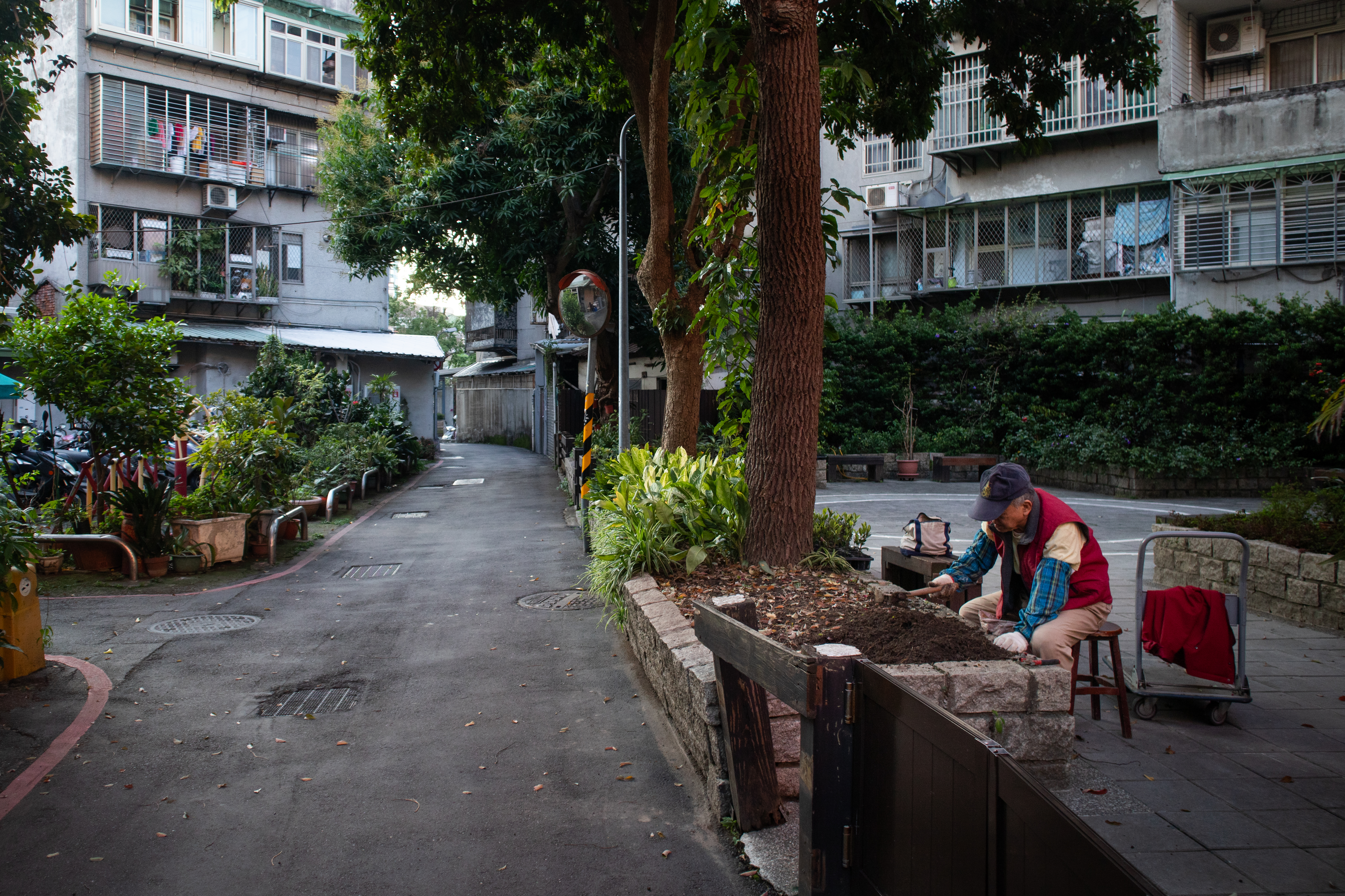 （攝影／蔡昕翰）