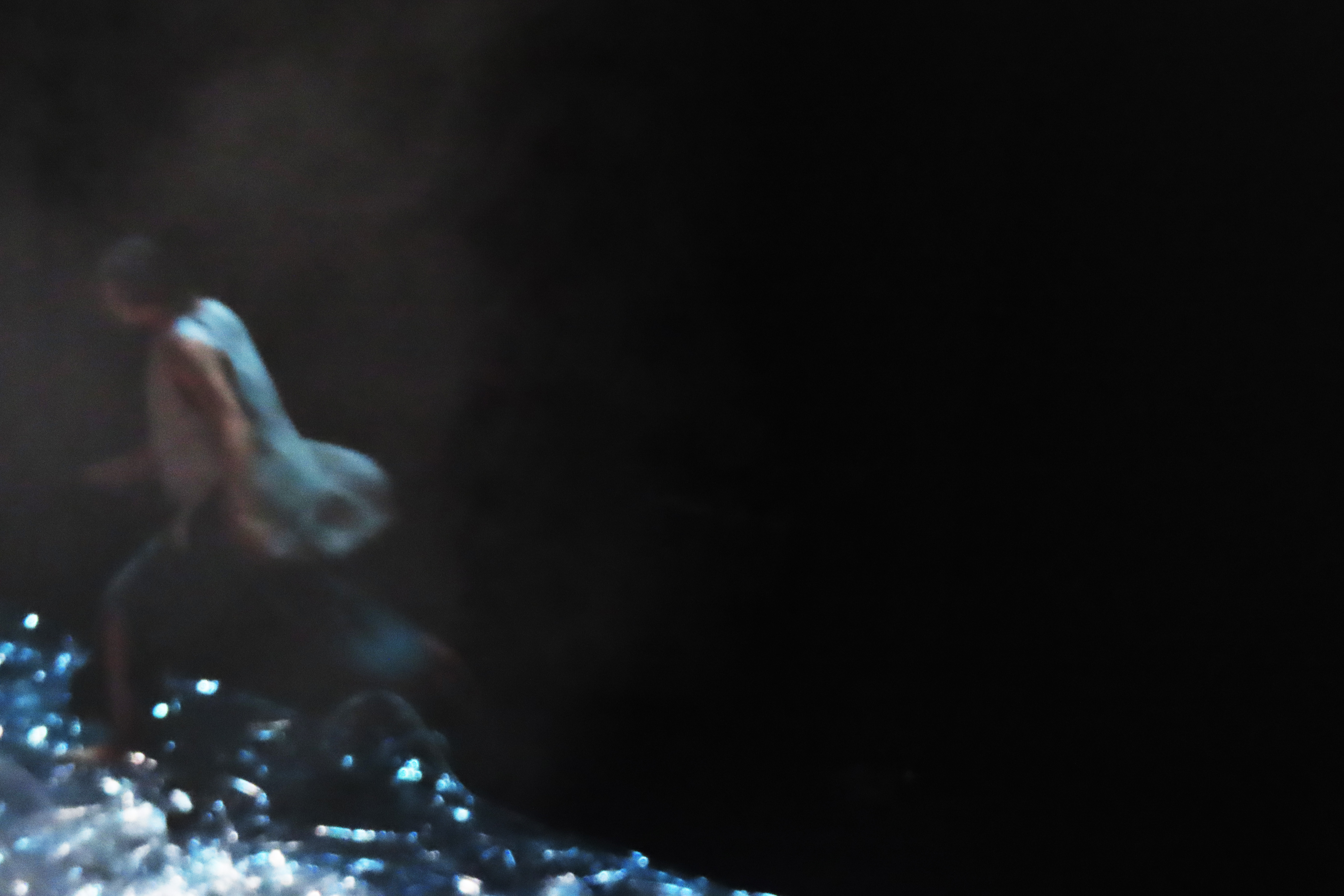 （攝影／張恩雅）