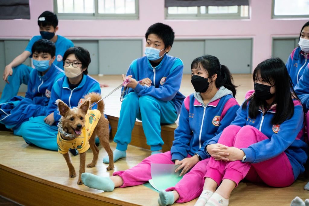 可樂過世後，安溪國中的動保社來了其他動物，像是八年級學生潘冠鈞帶來自己家裡養的狗「嘟嘟」，也跟著同學們一起上課。（攝影／古佳立）