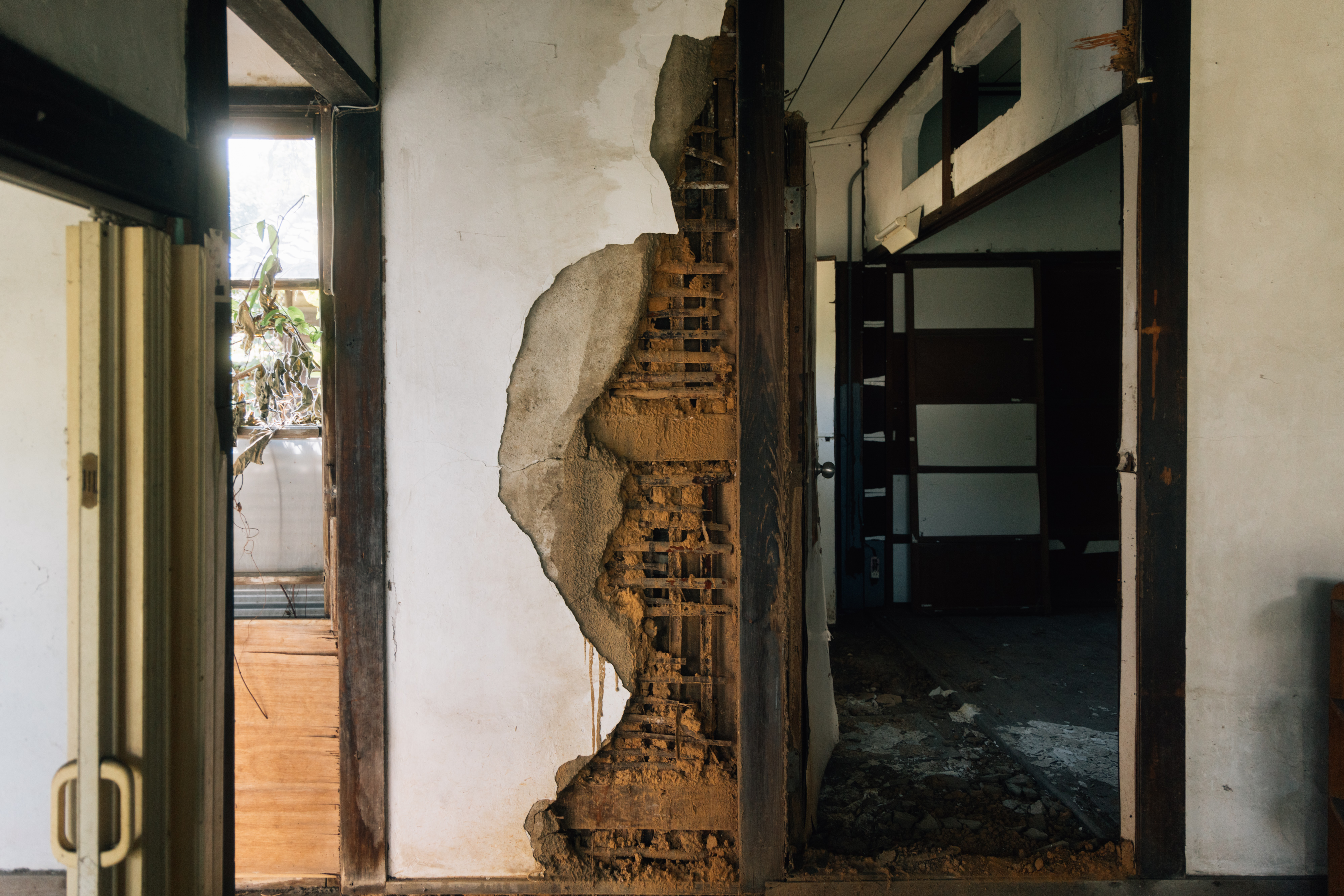 （攝影／溫翔宇）