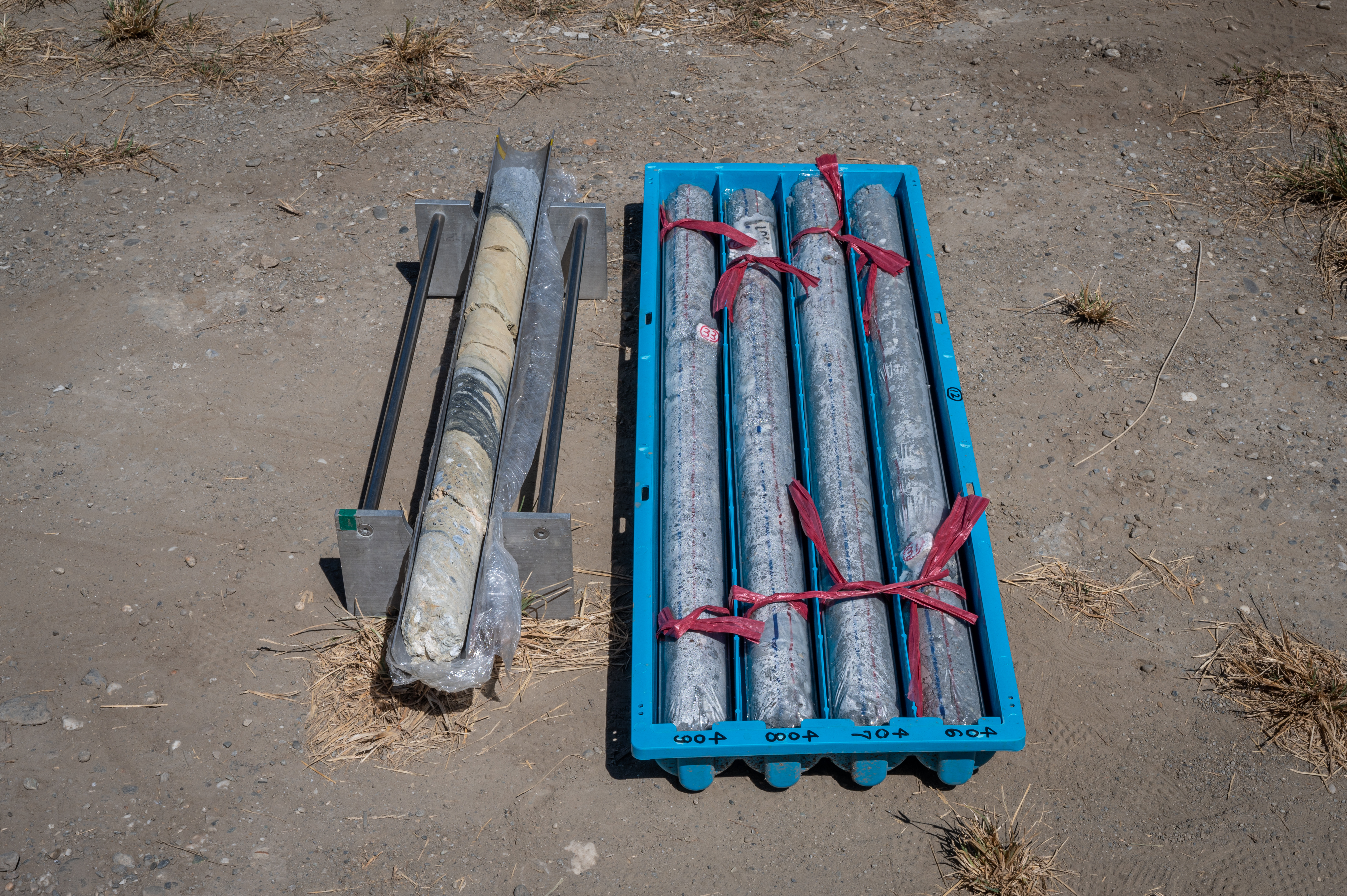 米崙斷層的岩心（左）與一般的岩心（右）。（攝影／林彥廷）