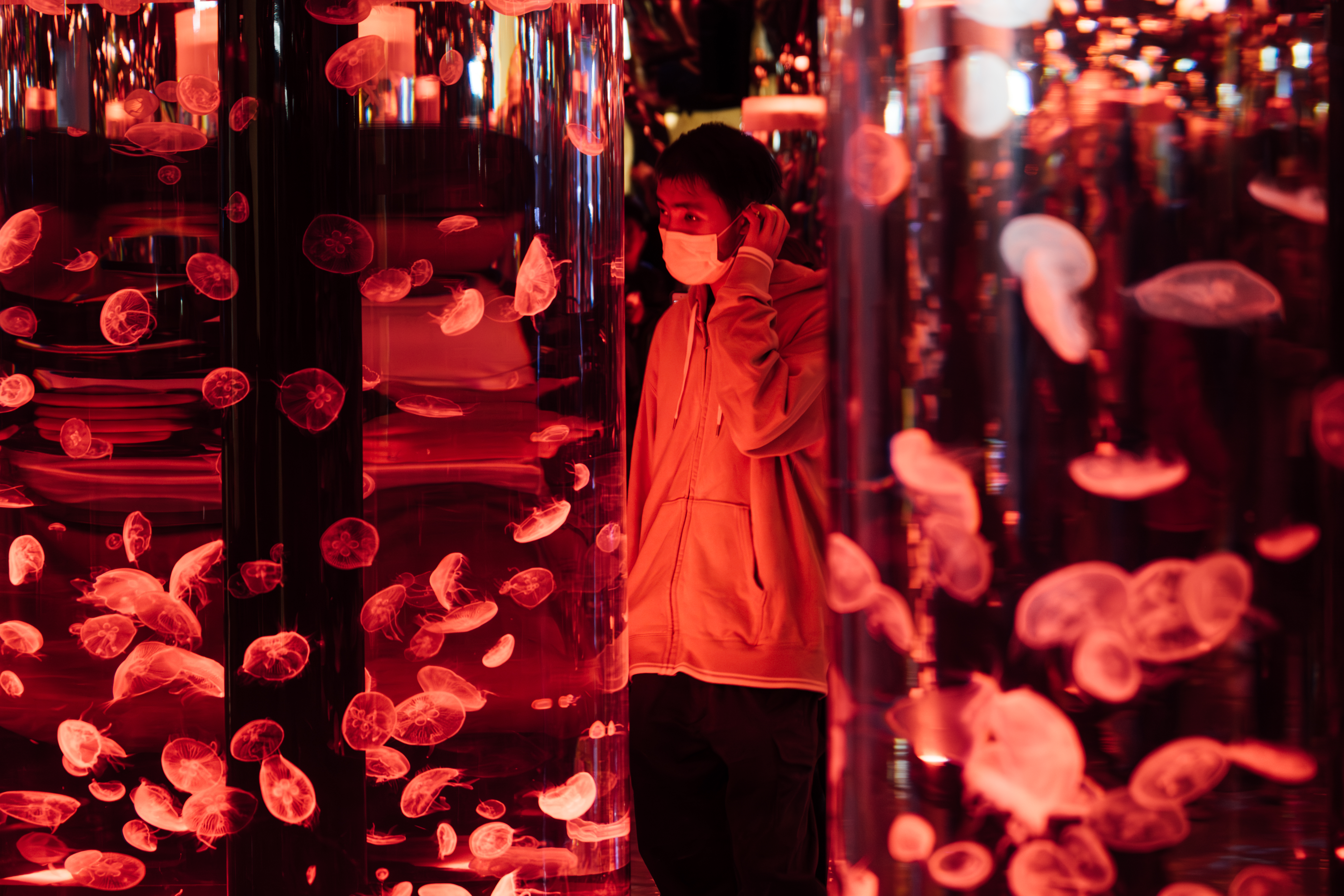 20歲生日當天，嘉源到夢寐以求的水族館參觀，流連在絢麗的水母世界。（攝影／余志偉）