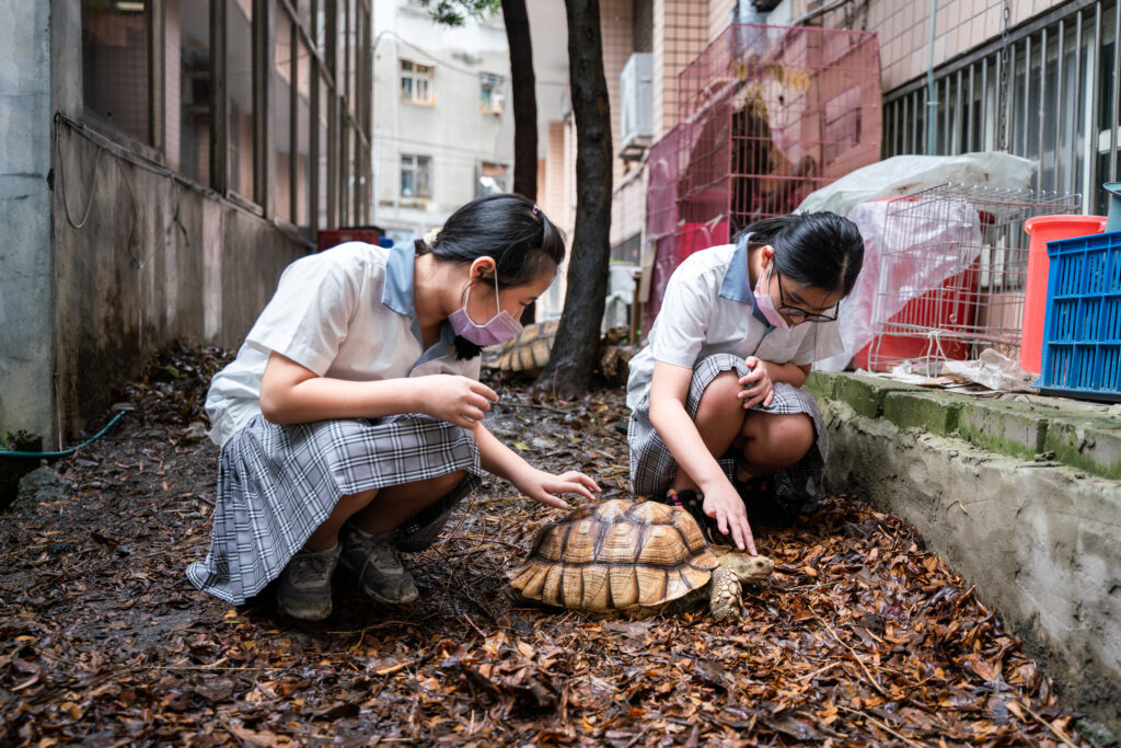 同學利用午休時間來找小動物玩。（攝影／古佳立）