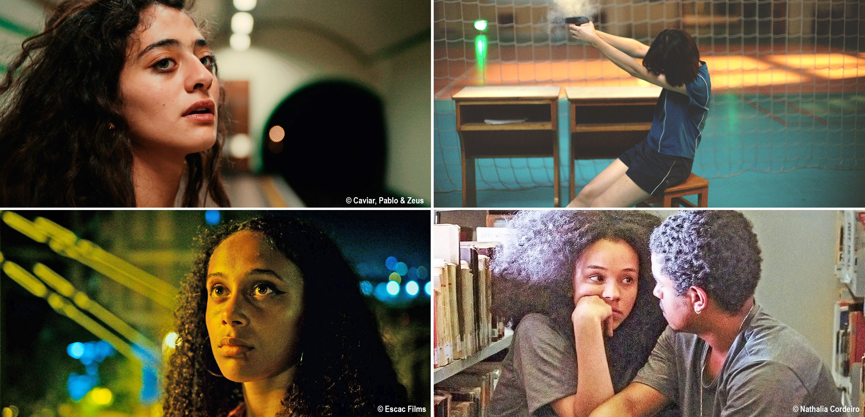 14plus部分參展影片劇照,由左上開始順時針依序為電影《最後一游》(Last Swim)、《開始的槍》、《拉普索》(Lapso)、《健康治癒》(Cura sana)。(圖片提供/Berlinale2024)