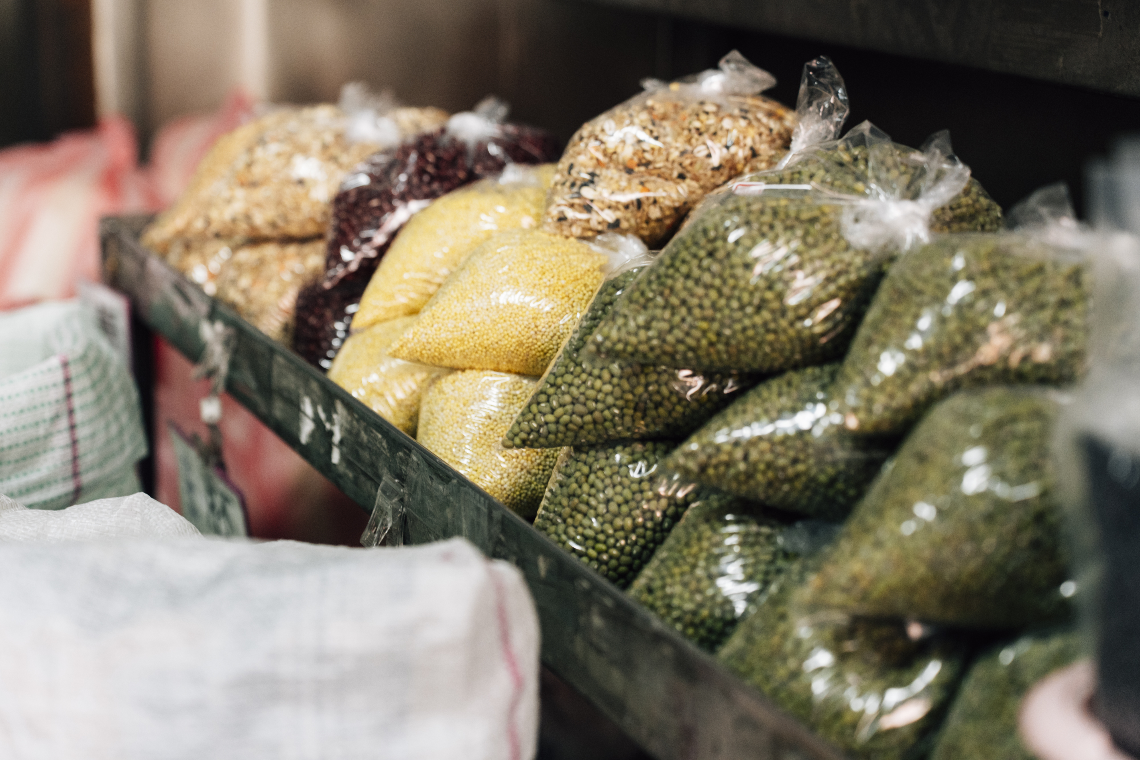 （攝影／汪夕芸）