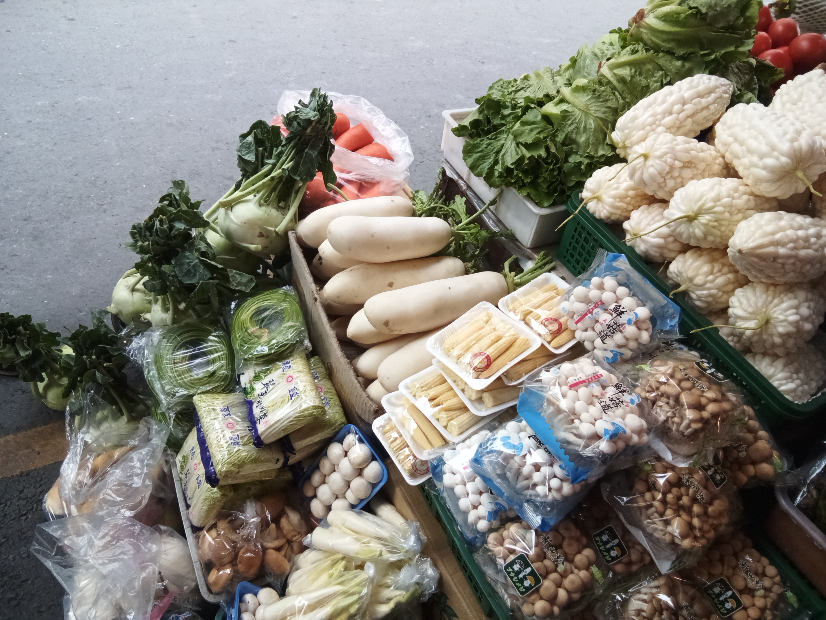 （攝影／高禕喬）