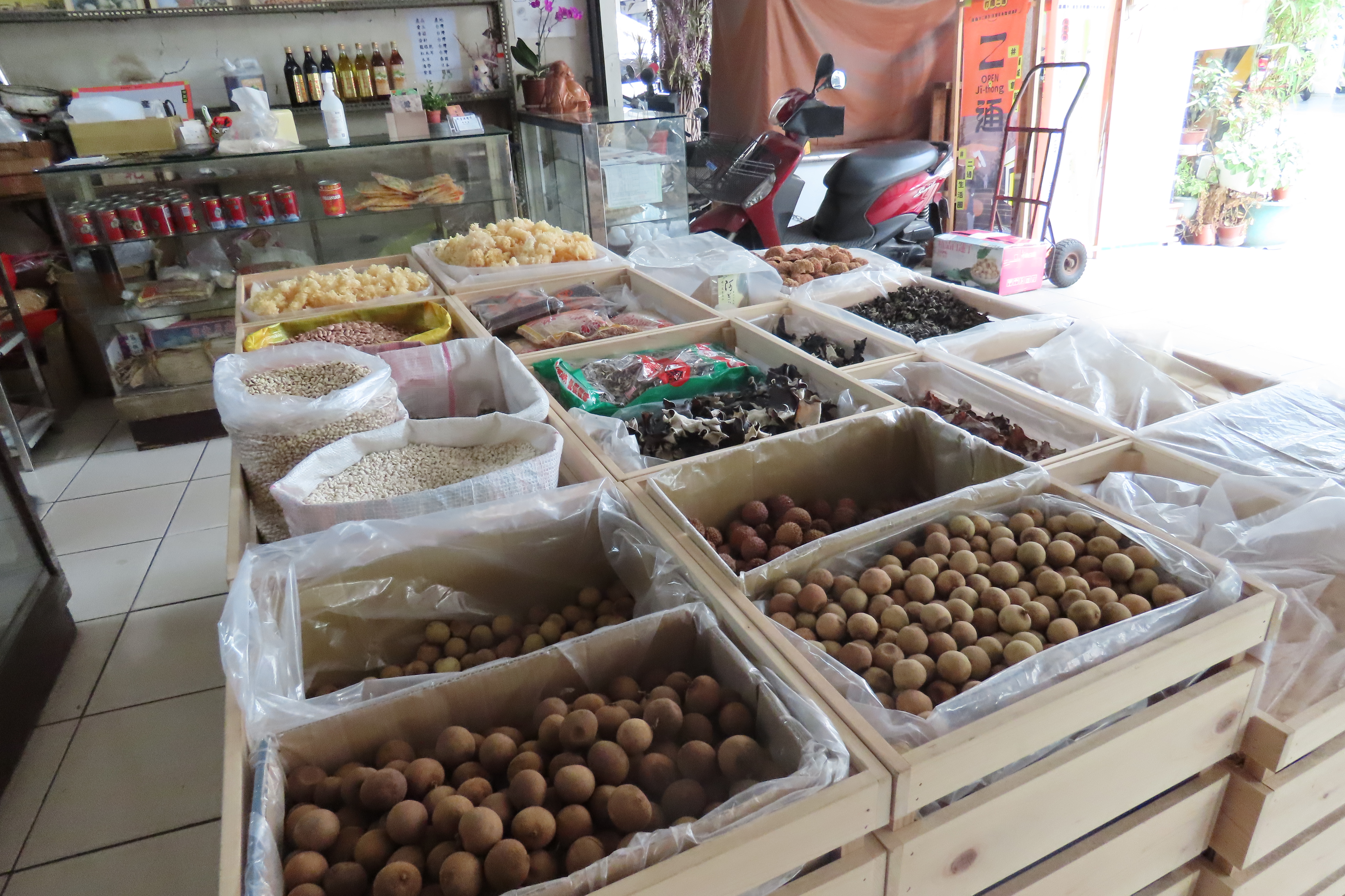 （攝影／郭漢威）