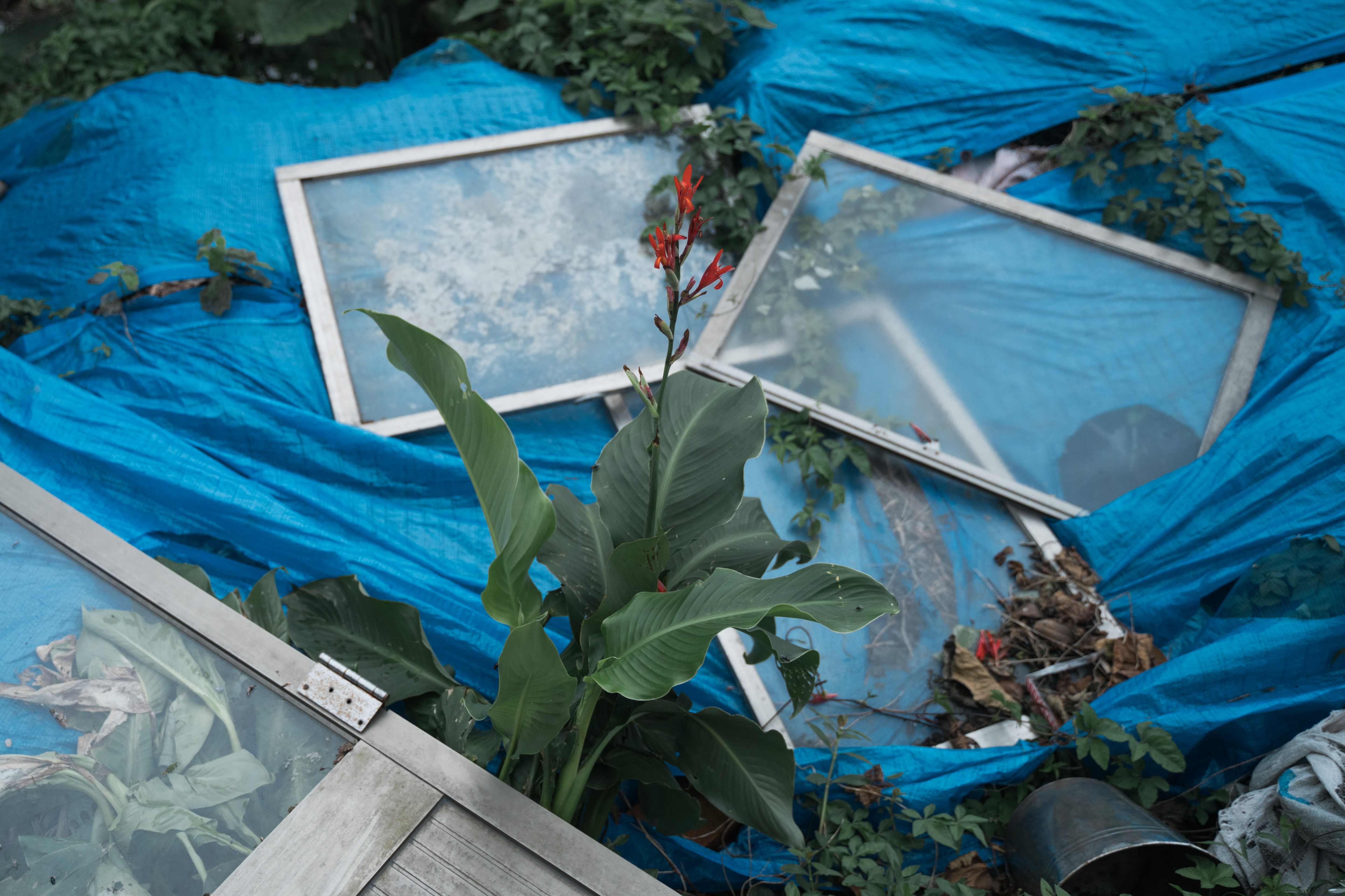 （攝影／唐佐欣）