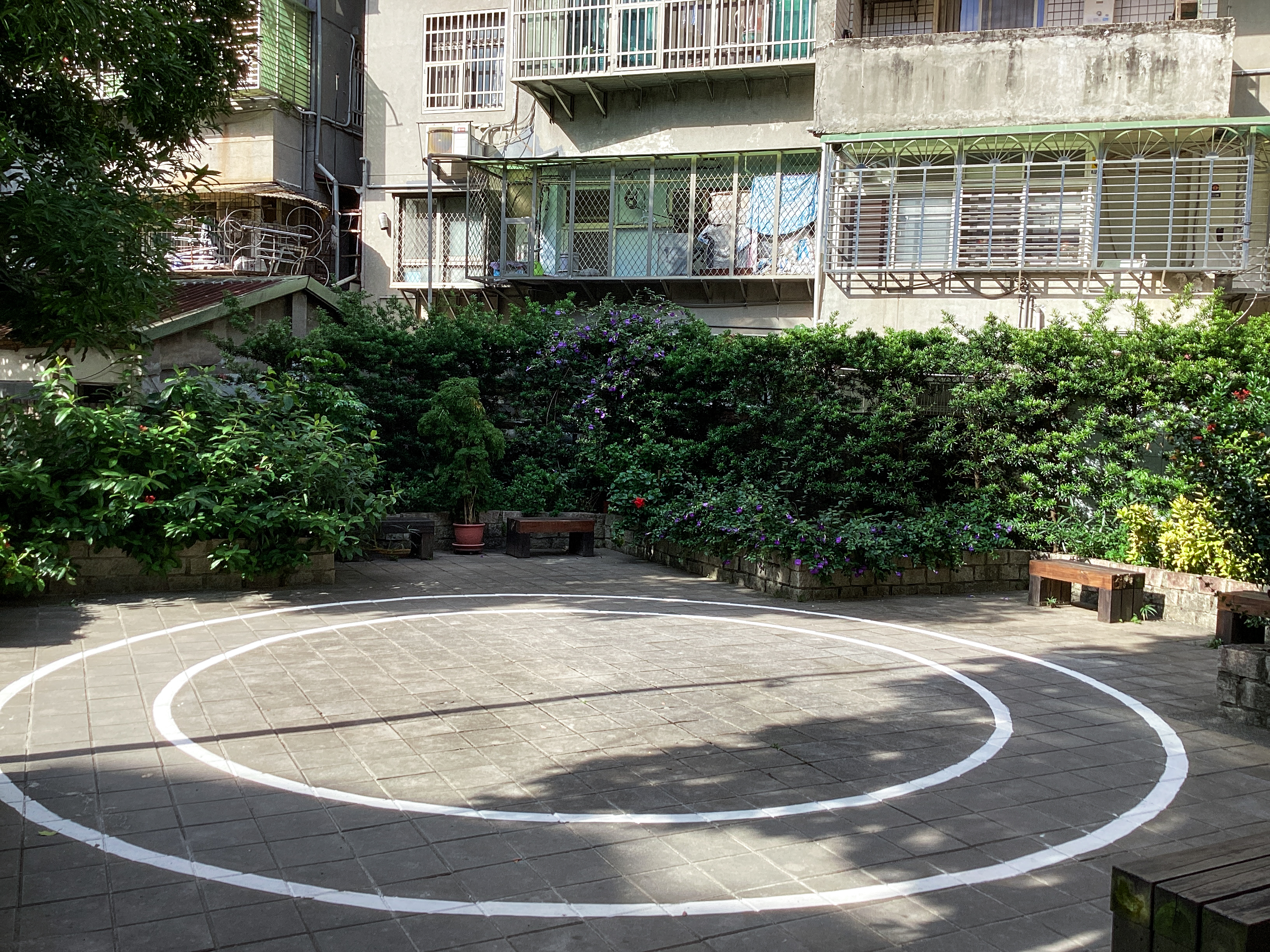 （攝影／謝晨希）
