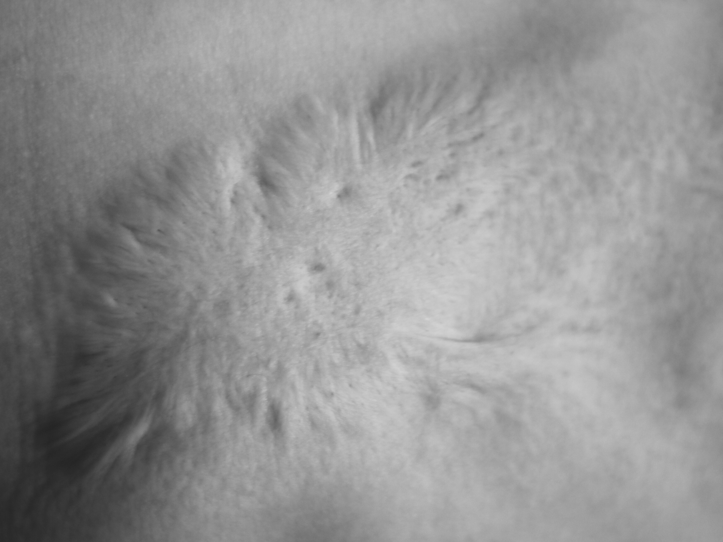 （攝影／孫宜熹）