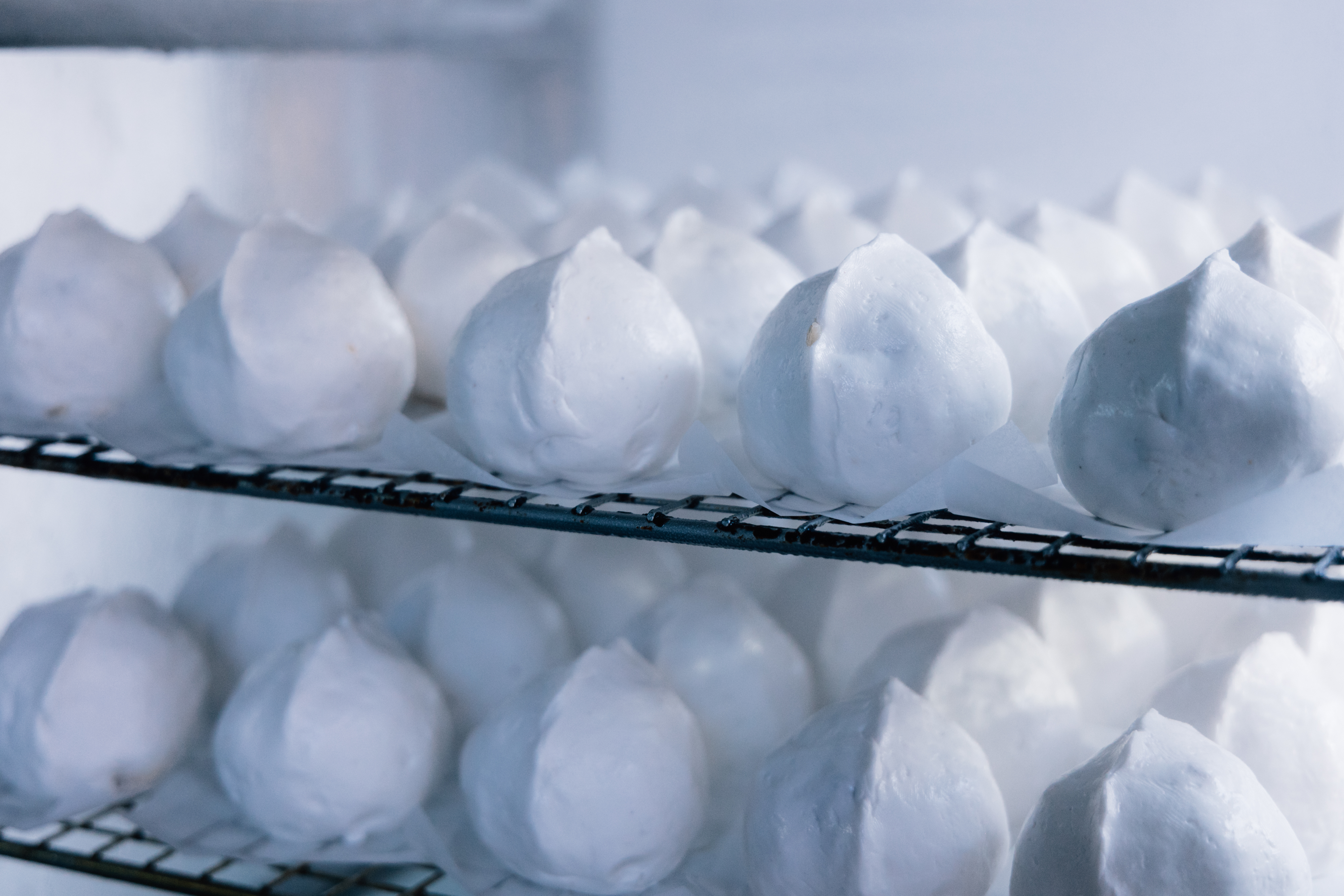 （攝影／林宥辰）