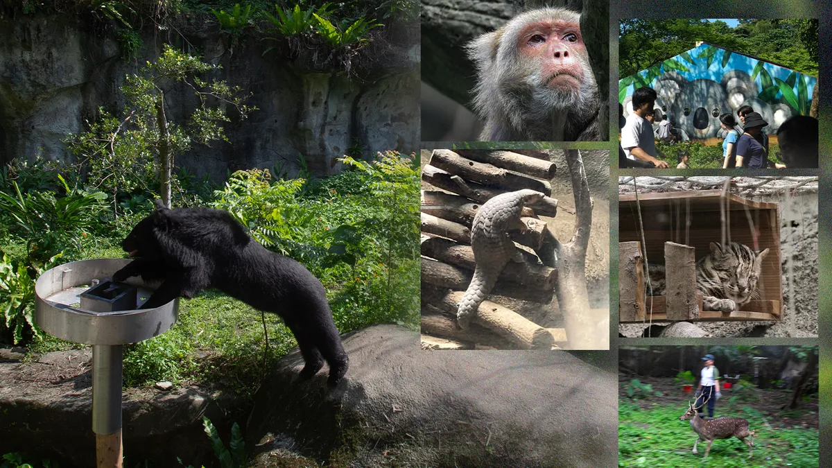 看不見的方舟動物園