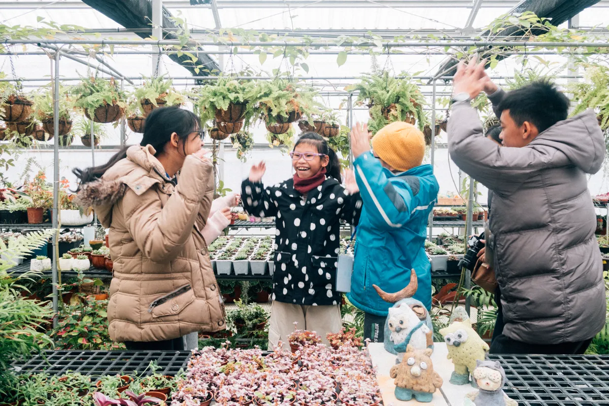 萬分之一的祕密森林